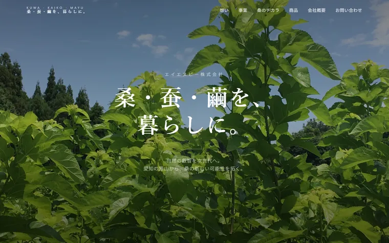 エイエヌピー株式会社のホームページ